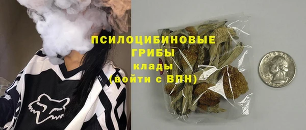 MESCALINE Каменка